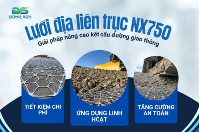 Lưới Địa Kỹ Thuật Liên Trục NX750 – Ứng dụng, báo giá 2025